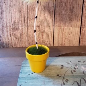 4 painted empty pots. Colors have been noted